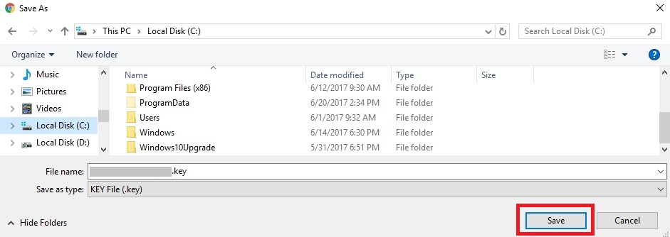 How do I activate the Substance Painter "license.key" file?